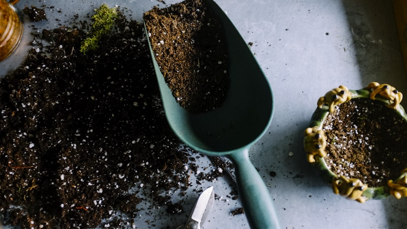 Jardim no inverno — a planta não morre de frio, morre de cuidado a mais