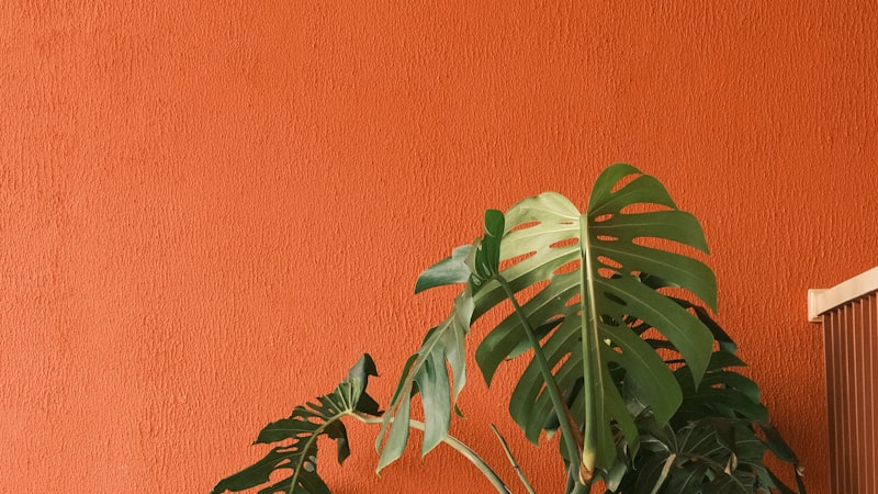 Terracota e mostarda voltaram — e a cor saturada custa duas demãos a mais