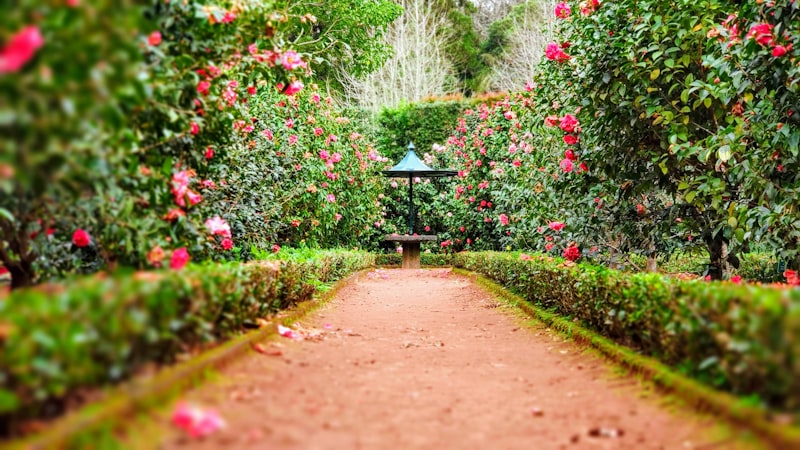 Agosto é o mês de podar — quem não faz isso agora paga caro na primavera